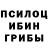 Псилоцибиновые грибы Psilocybe Chris Pridmore