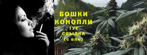 винт Белокуриха