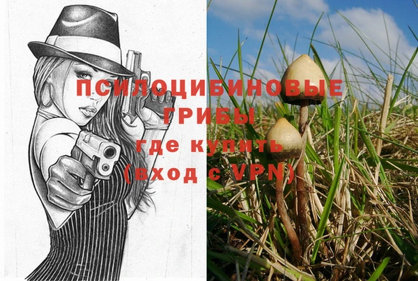 прущая мука Белоозёрский