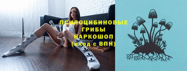 spice Беломорск