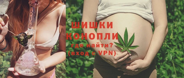 винт Белокуриха