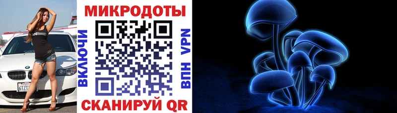цена   Реж  Галлюциногенные грибы Cubensis 