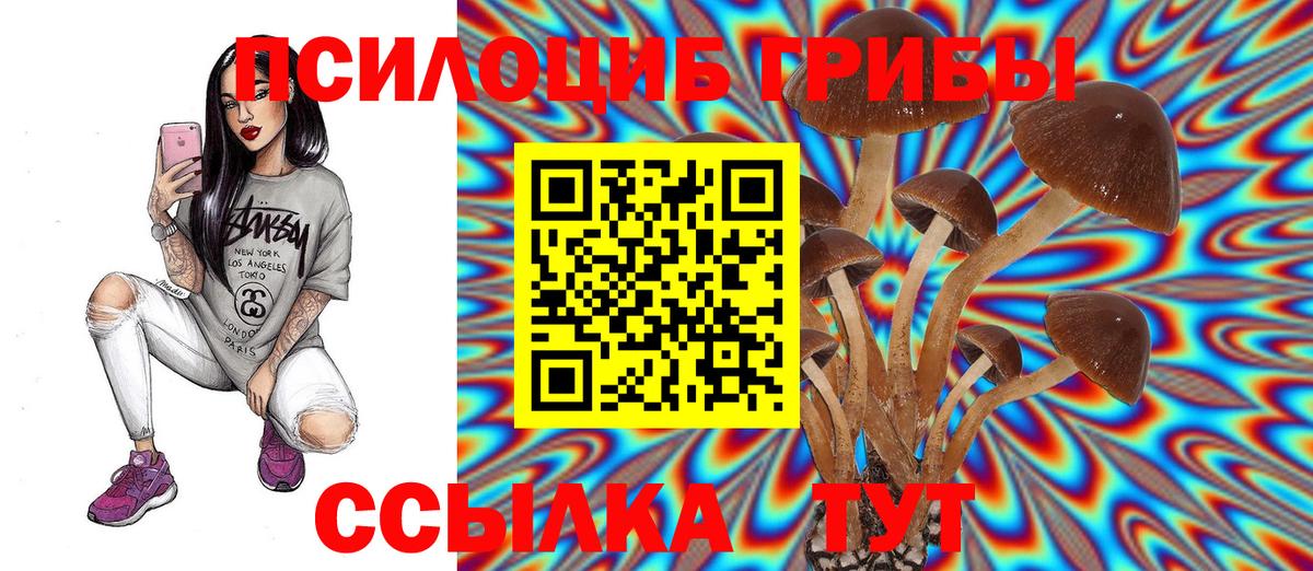 Галлюциногенные грибы прущие грибы Реж