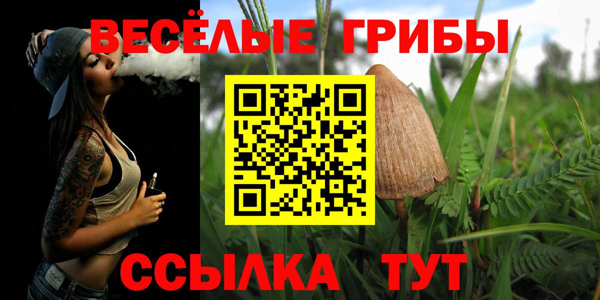 Реж  что такое наркотик  Галлюциногенные грибы Psilocybine cubensis  Вход с VPN  Галлюциногенные грибы ЛСД 